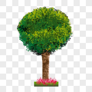 绿色植物夏天大树图片