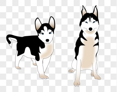 哈士奇幼犬图片