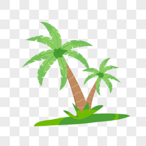 夏季植物椰子树图片
