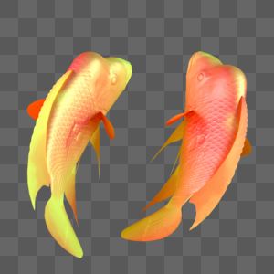 鱼金鱼鲤鱼锦鲤鸿运吉祥富贵游动红色成双图片素材