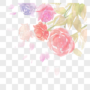 浪漫玫瑰美好的植物高清图片