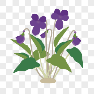 紫色花卉图片