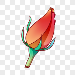 黄花菜植物花骨朵元素