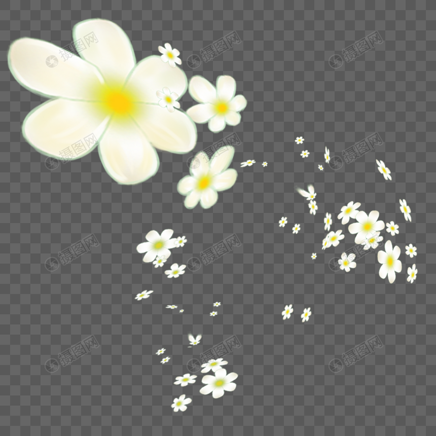 花瓣图片