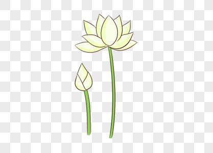 白莲花图片 白莲花图片大全 白莲花背景图片 白莲花图片 白莲花图片大全 白莲花背景图片