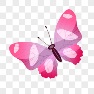 粉红色花蝴蝶高清图片