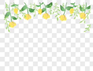 清新黄色花朵植物背景图片
