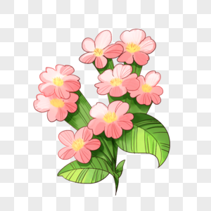 手绘粉色小花图片