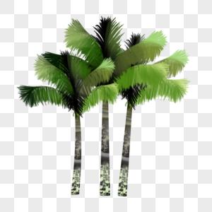 丛生椰子树图片