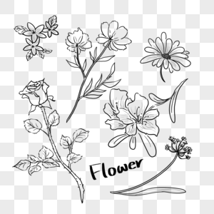花卉手账纹身简笔画元素高清图片