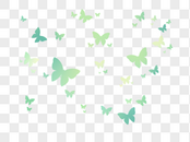 一群小蝴蝶图片