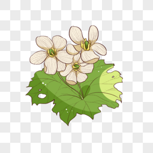 猫 山山荷叶素材