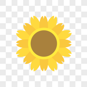 花卉黄色向日葵高清图片