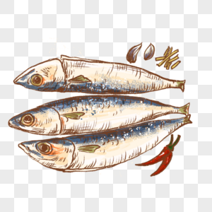 鱼海鲜鱼肉蒸鱼新鲜食材烹饪手绘插画图片