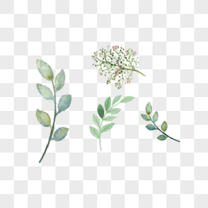 枝叶植物图标免抠矢量插画素材图片