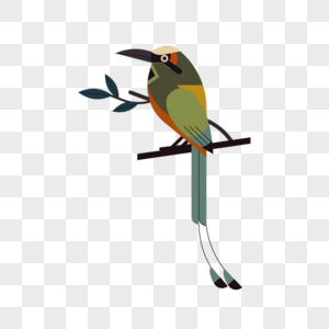 深绿色啄木鸟高清图片