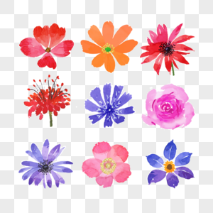 字和花草组合图片