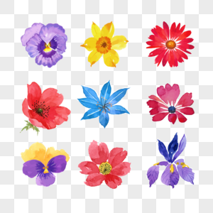 花朵组合图片