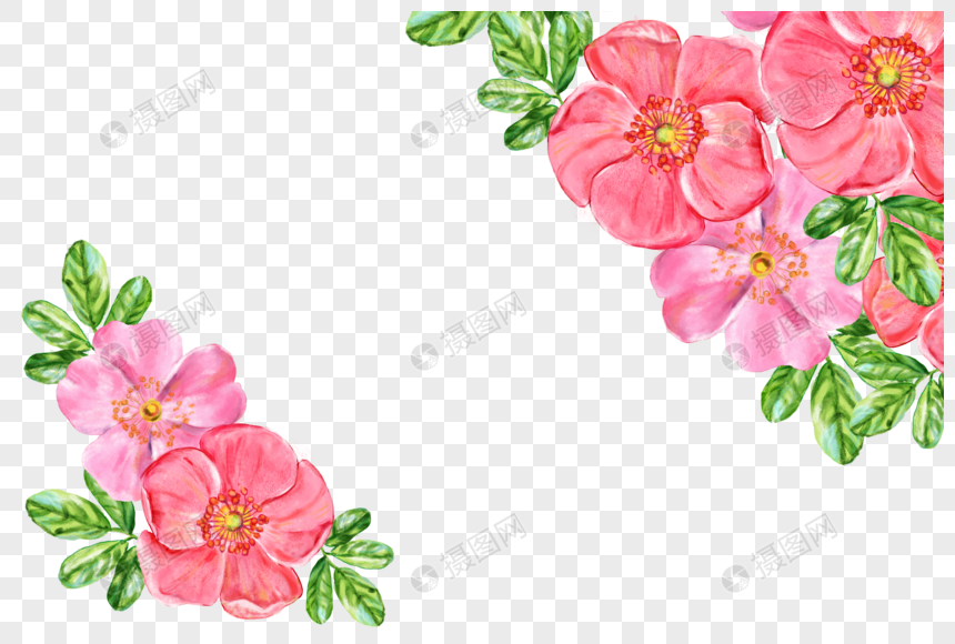 蔷薇花植物彩绘元素元素素材下载 正版素材 摄图网