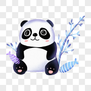 国宝小熊猫图片