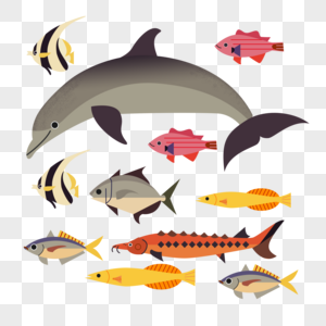 海洋动物鱼海豚热带鱼图片