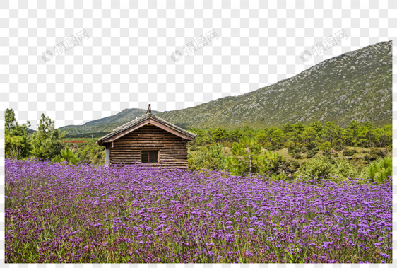 花海边的木屋图片