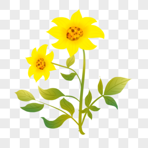 黄色花图片 黄色花图片大全 黄色花背景图片