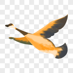 素描大雁南飞图片