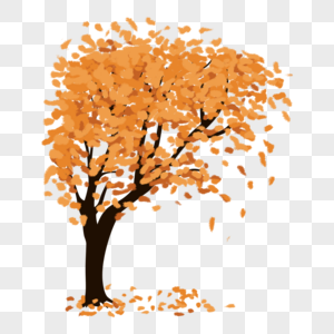 秋天树木落叶秋风图片