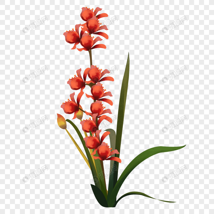 红花植物元素素材下载 正版素材 摄图网