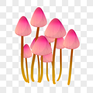 粉红色小蘑菇图片