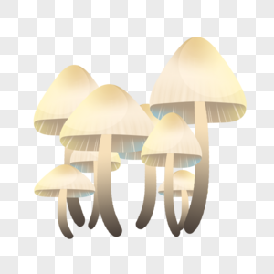 一群白色小蘑菇图片