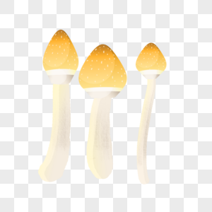 黄色蘑菇图片