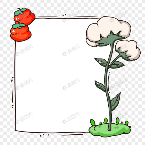 棉花柿子霜降边框图片