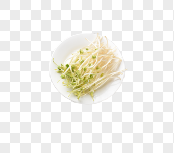绿豆芽图片