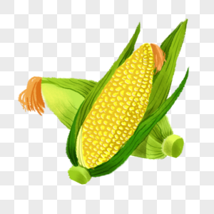 卡通玉米农作物图片