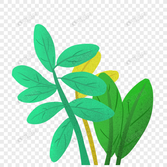 绿色树叶植物元素图片