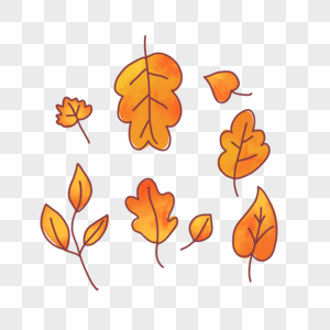 秋天的叶子各种形状的叶子高清图片