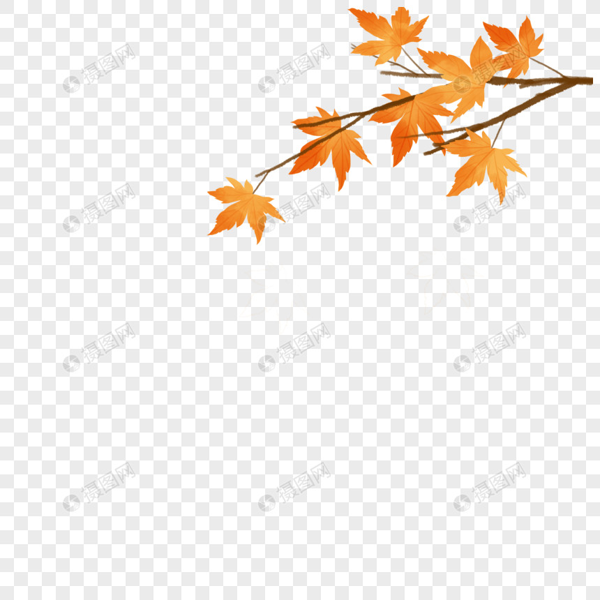 秋天枫叶背景元素图片