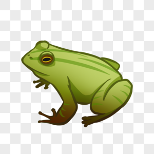 绿青蛙卵生动物高清图片