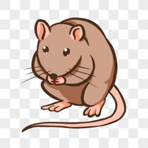 老鼠哺乳动物杂食的高清图片