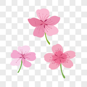 三朵粉色小花高清图片