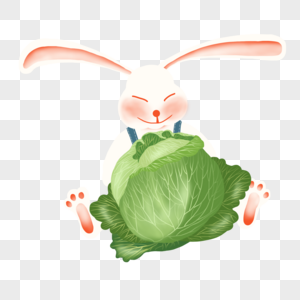 白菜新鲜叶菜大白兔高清图片