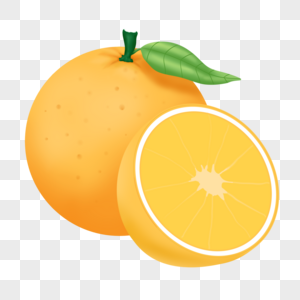 橙子秋季卡曼橘高清图片