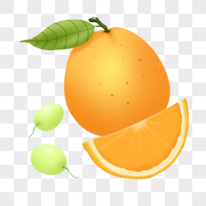 橙子葡萄图片
