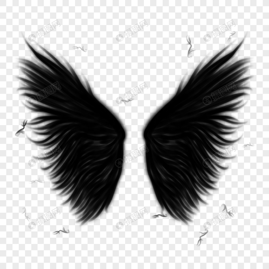 黑色抽象翅膀图片