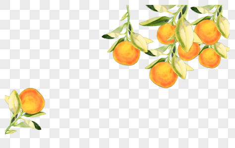 橘子水果彩绘元素图片