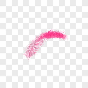 粉色羽毛装饰素材图片