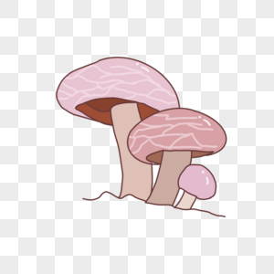 秋天蘑菇图片