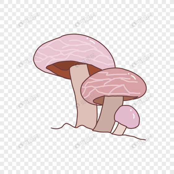 秋天蘑菇图片